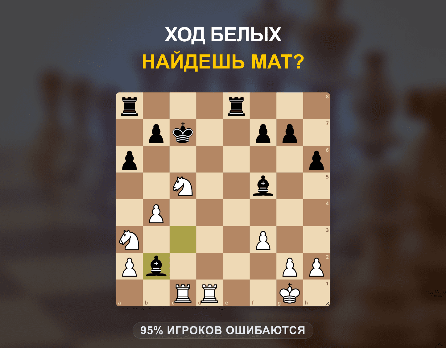 Коневая жертва и матовая атака